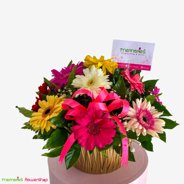 Arreglo redondo con 15 gerberas, gypsophila y follajes